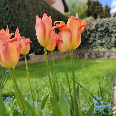 Bohemenest Terminal Apartamento *