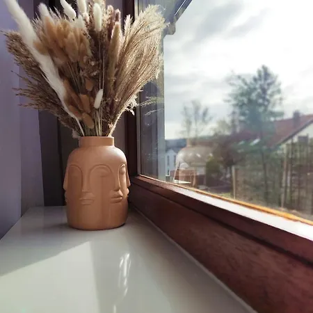 Bohemenest Terminal *