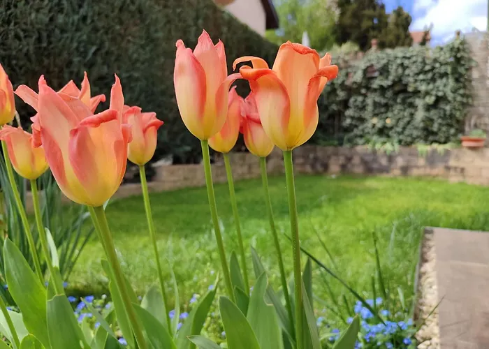 Bohemenest Terminal Διαμέρισμα *