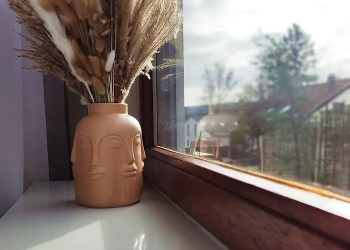 Bohemenest Terminal *